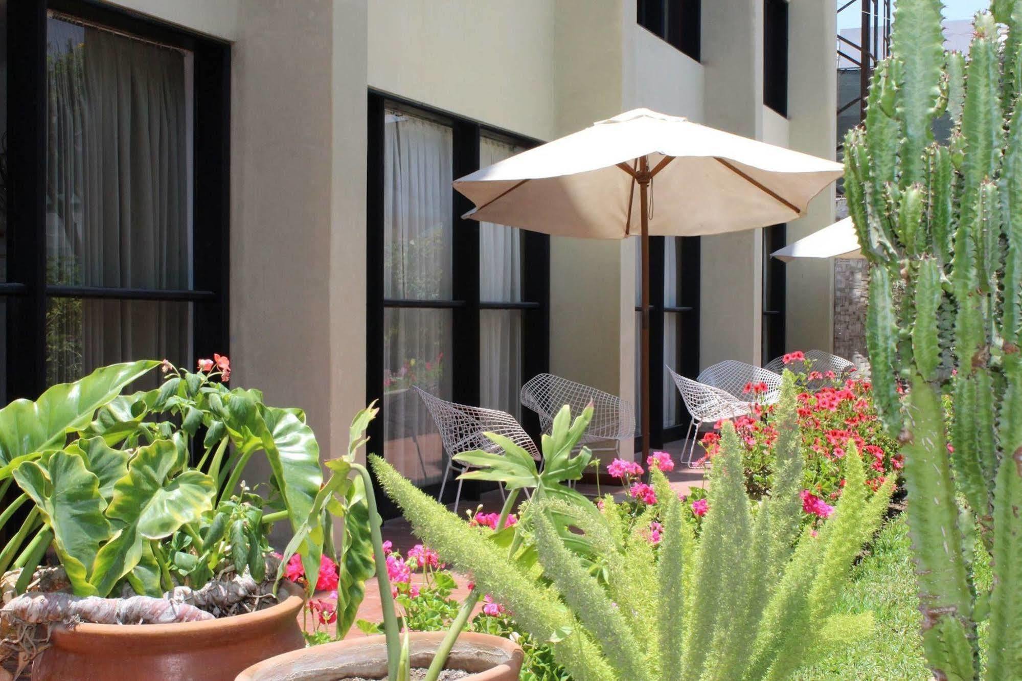 Holiday Suites Такна Экстерьер фото